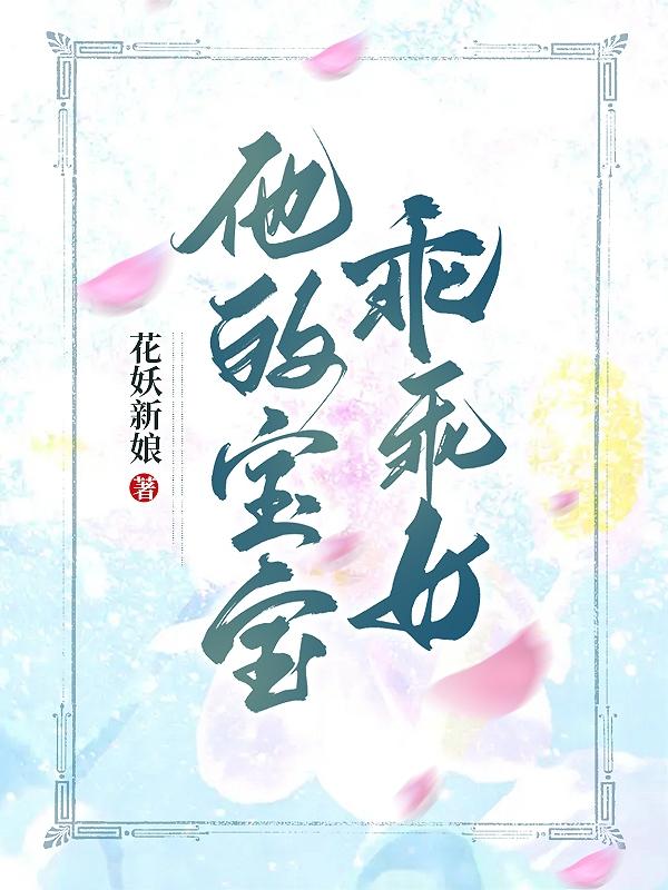 他的乖宝小说